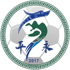  平永村足球队 